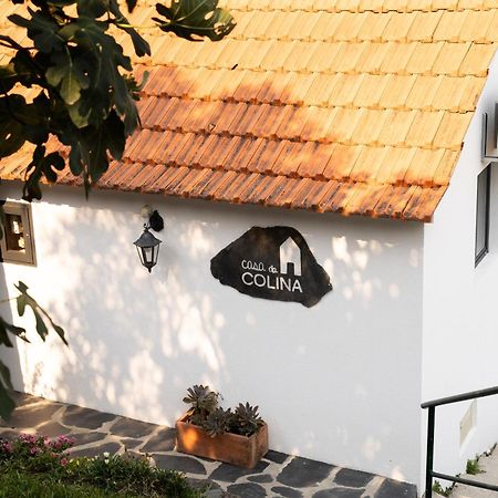 阿马兰特Casa Da Colina别墅 外观 照片